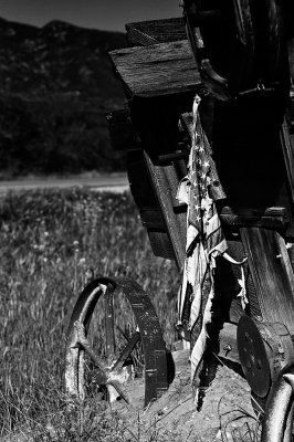 033120072532-8.jpg