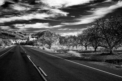 120220076525bw.jpg