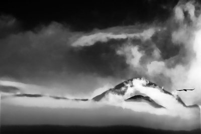 121920070634-4.jpg