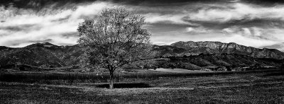 122520051553pan3.jpg