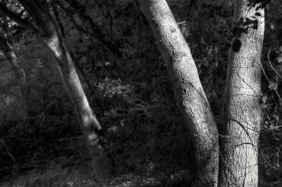 20130225_0521_2_3.jpg