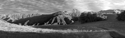 3611-18bw.jpg