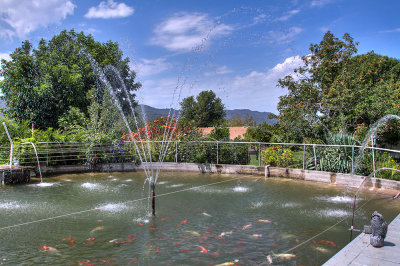 20150730_4841_2_3.jpg