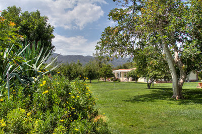 20150730_4845_6_7.jpg
