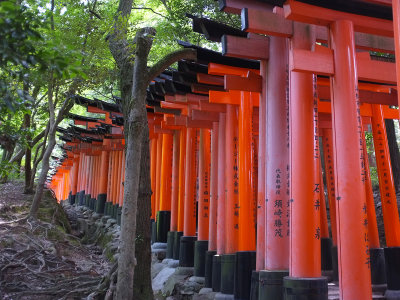 022 Fushimi Inari