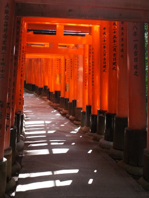 024 Fushimi Inari
