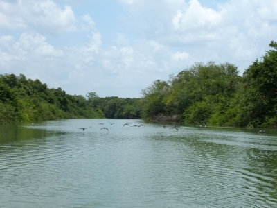 Rio Pasión