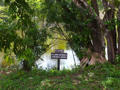 Crocodile danger!