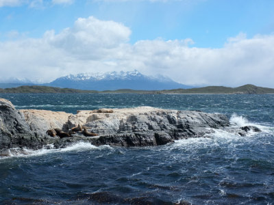 Ushuaia - Beagle Channel