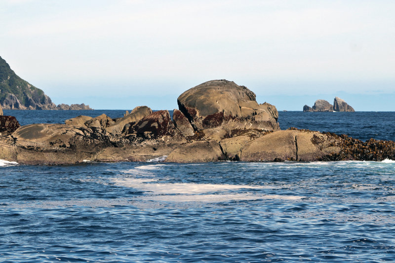 Exit to Tasman Sea 