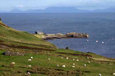 The Pier