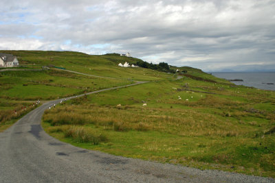 Road to the Pier