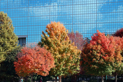 Fall in Atlanta
