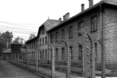 Auschwitz Housing 