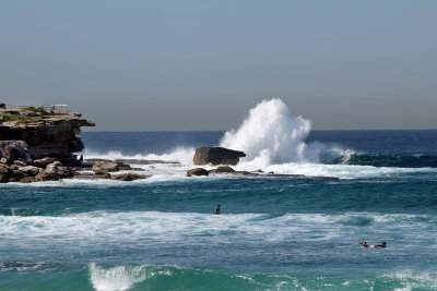 Bondi Beach