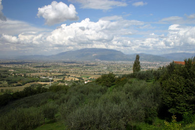 Montefalco Vista