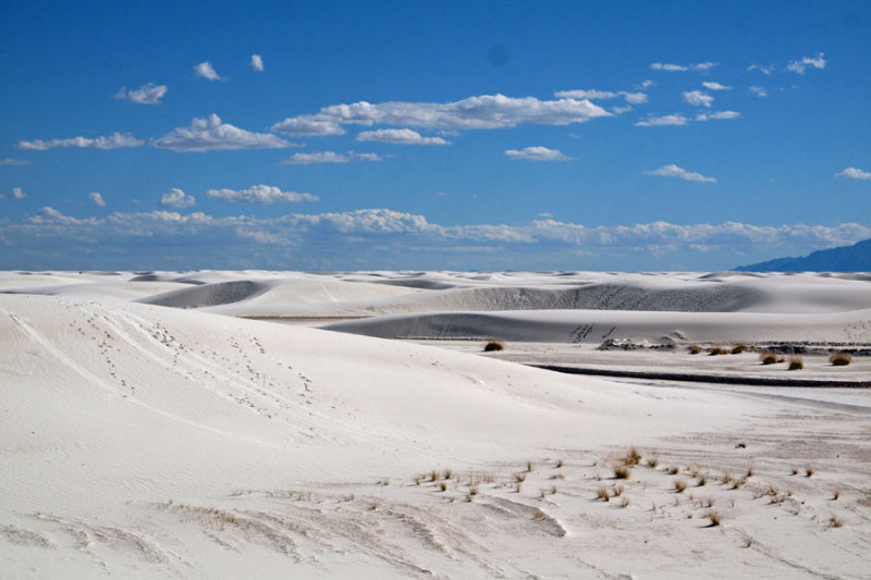 White Sands desert landscape