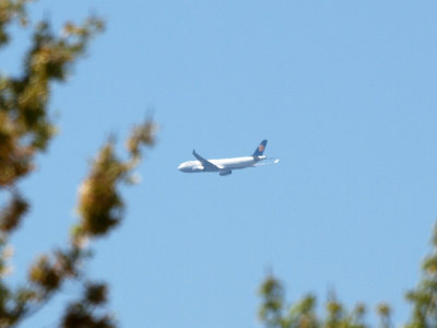 Lufthansa A330 heading to Dulles