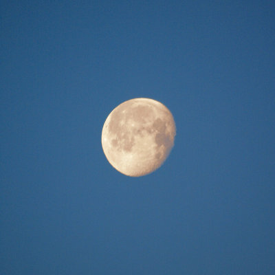 April 28th - Early morning moon