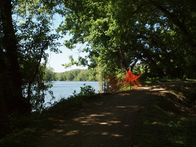 The river from the shade of the trail