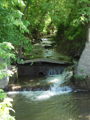The stream from the mill