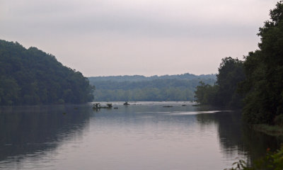 Calm morning on the river