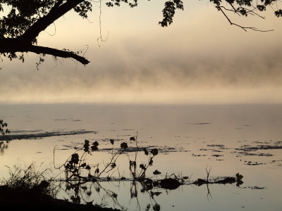 Mist over the Potomac