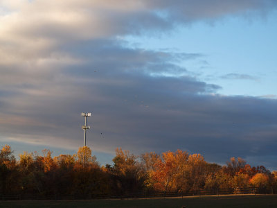 Nov 3rd - Cloud patterns and cell tower