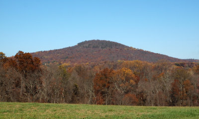 Sugarloaf mountain in the background