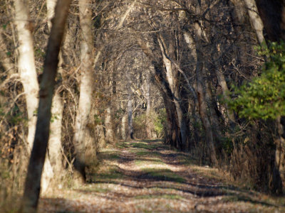 The passageway