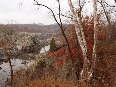 Overlooking Mather Gorge