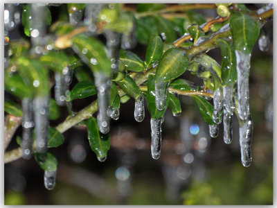 Deep freeze