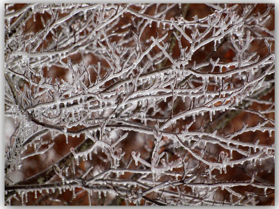 Tangles