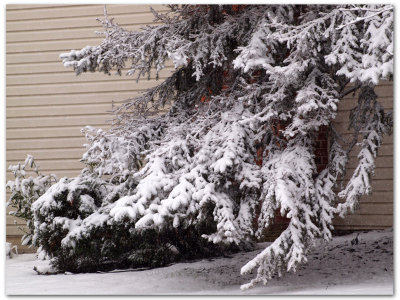 Ice and snow