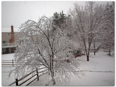 As the snow falls