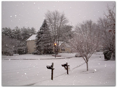 Street light in the snow