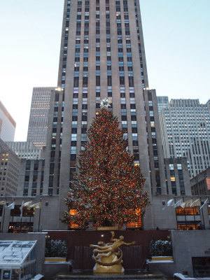 The christmas tree  with Rockefeller Center behind