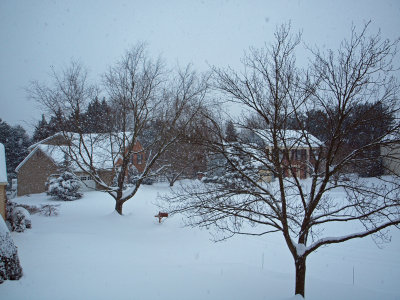 Snowstorm blasting through