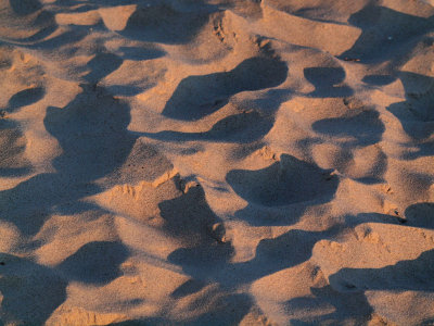 Shadows of morning sun in the sand