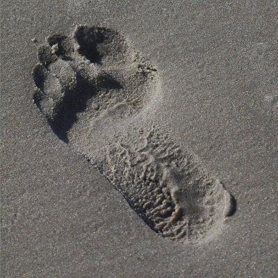 Footprint in the sand