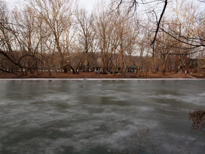 Sycamore Island across the ice covered Potomac