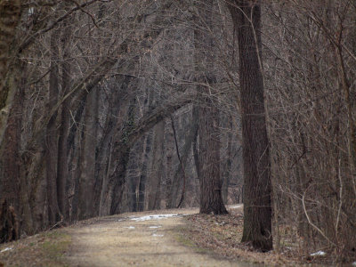 March 2nd - North of Williamsport