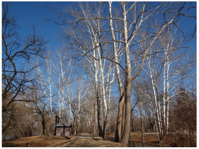 At the Antietam hiker/biker campground copy