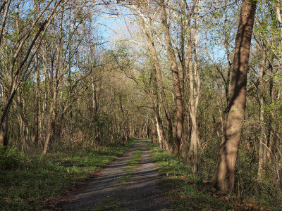 Beautiful morning on the trail