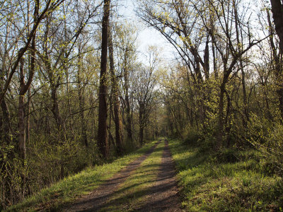 Twin tracks