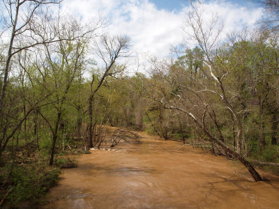 Swollen Seneca Creek from River Road