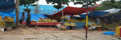 Only Mango stalls