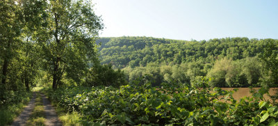 Panorama - Cacapon mountain in front