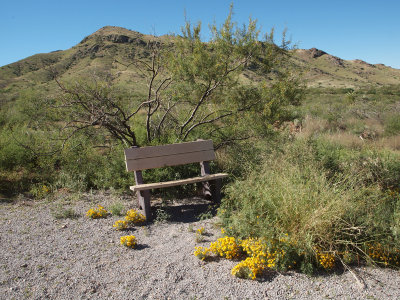 The bench on the trail