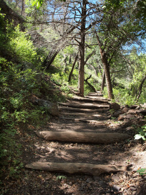 Trail to the cliffs